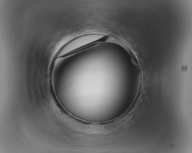 X0000111630008200907311238