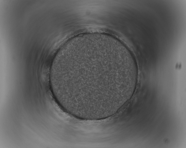 X0000111630009200907311238