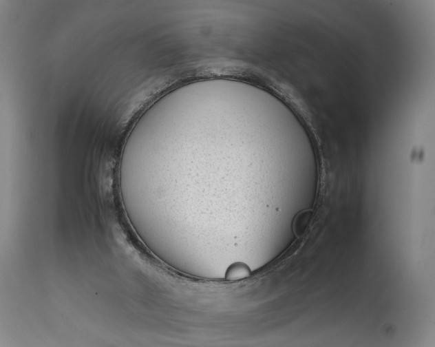 X0000111630010200907311238