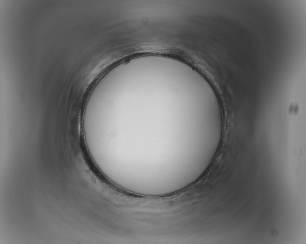 X0000111630011200907311238