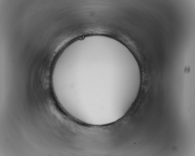 X0000111630012200907311238