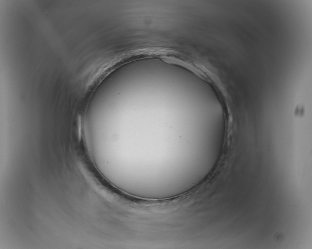 X0000111630013200907311238