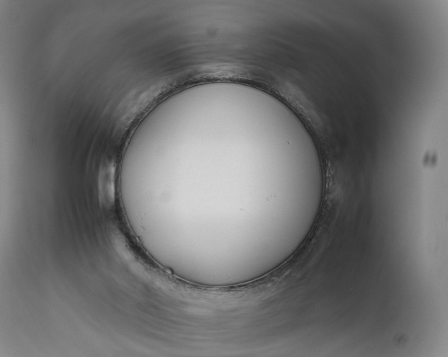 X0000111630014200907311238