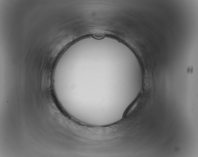 X0000111630015200907311238