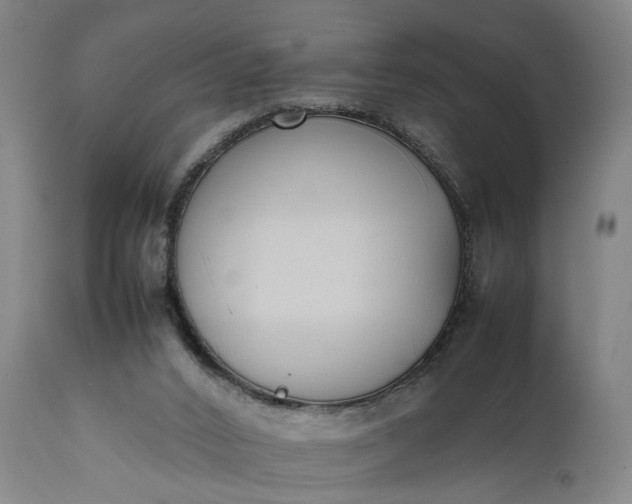 X0000111630016200907311238