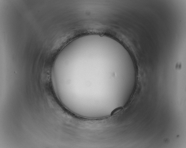 X0000111630017200907311238