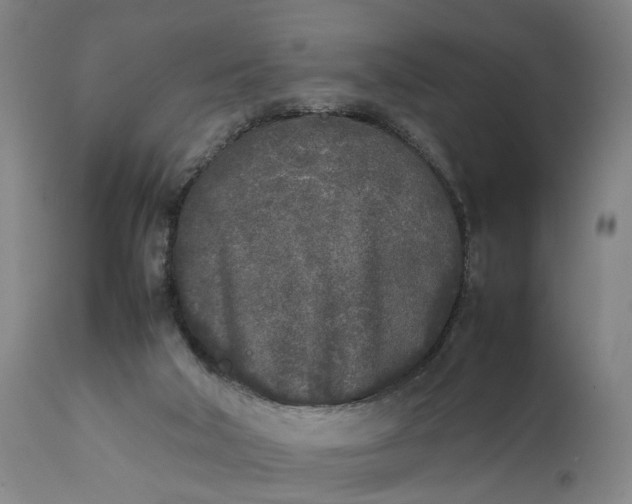 X0000111630018200907311238