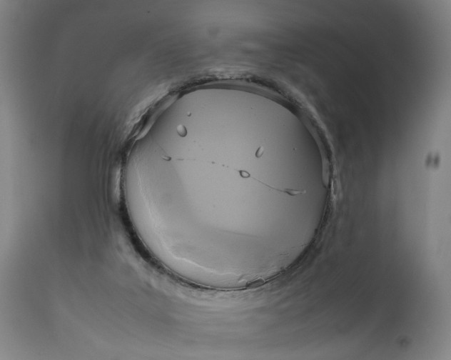 X0000111630019200907311238