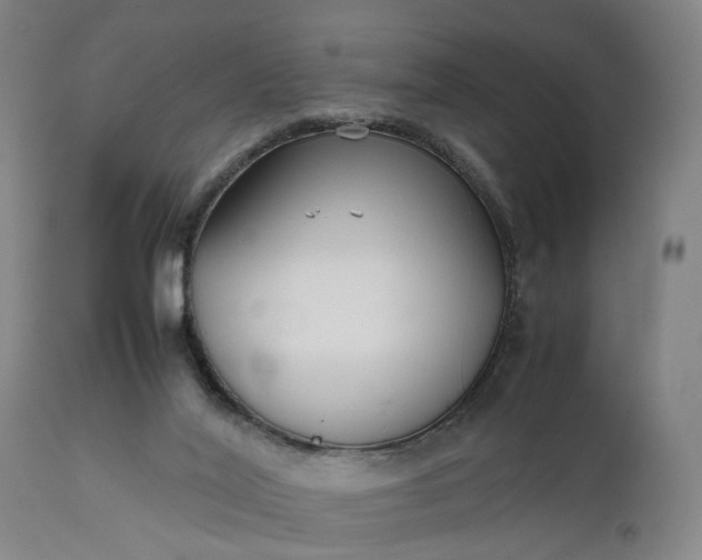 X0000111630020200907311238