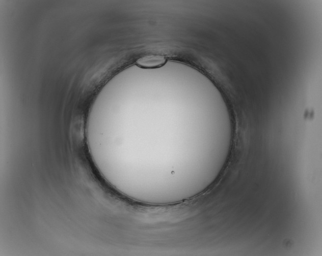 X0000111630021200907311238