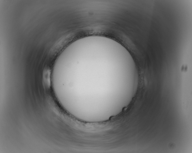 X0000111630022200907311238