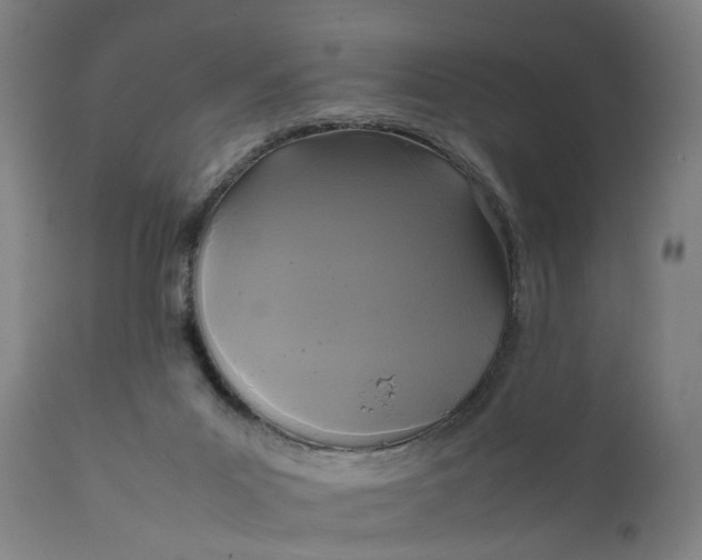 X0000111630023200907311238