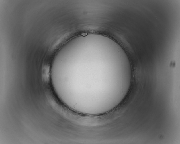 X0000111630024200907311238