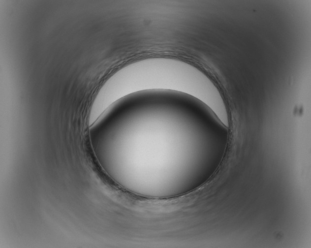 X0000111630025200907311238