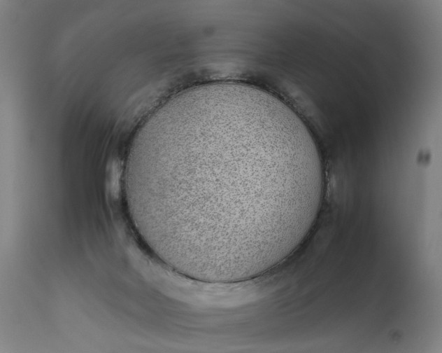 X0000111630026200907311238