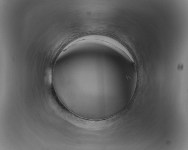 X0000111630027200907311238