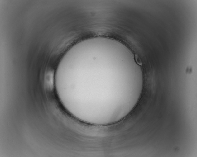 X0000111630028200907311238