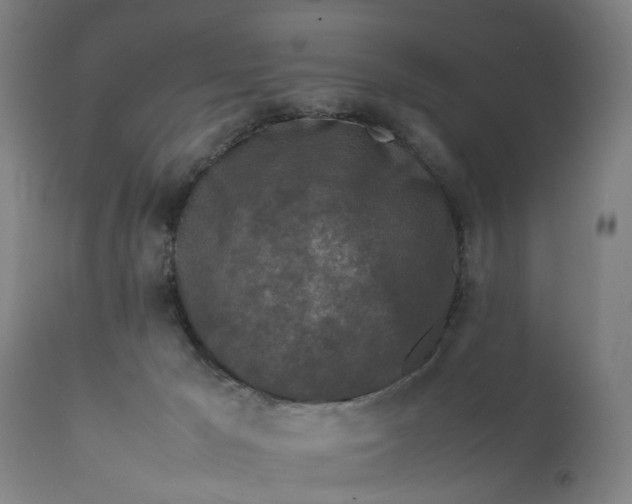 X0000111630029200907311238