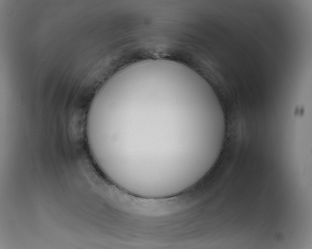 X0000111630030200907311238