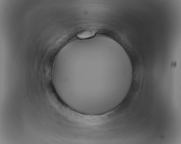 X0000111630031200907311238