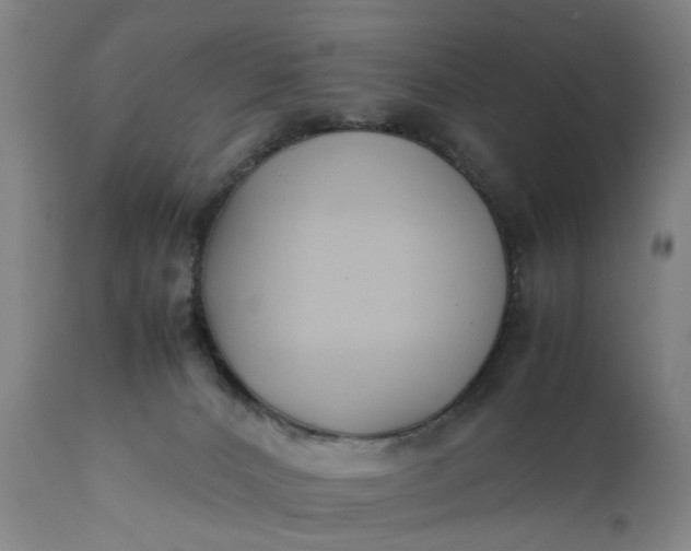 X0000111630032200907311238