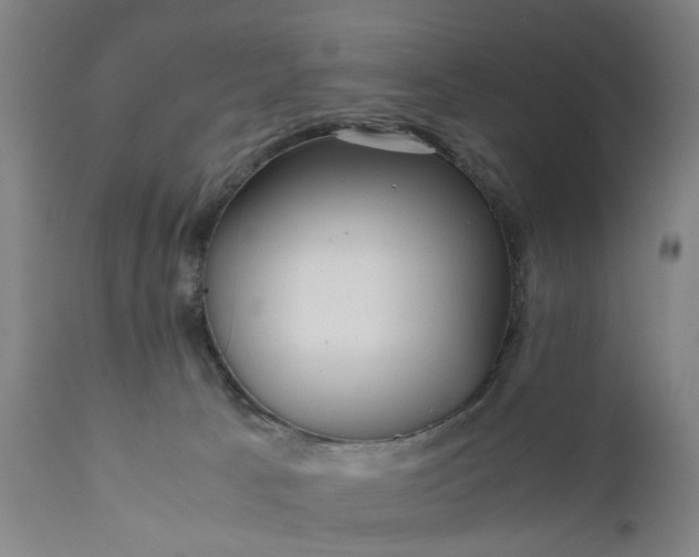 X0000111630033200907311238