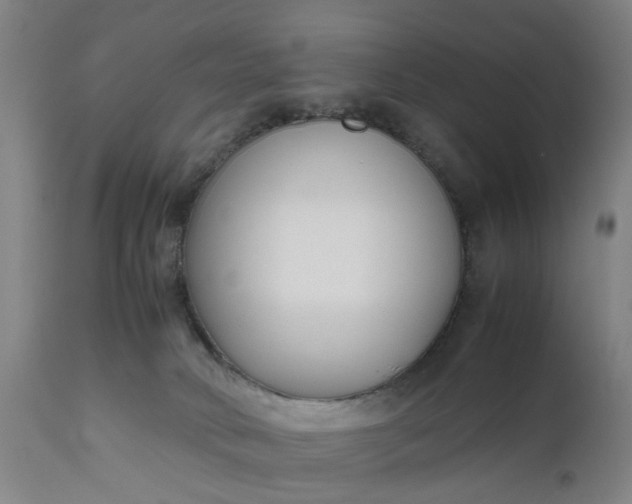 X0000111630034200907311238