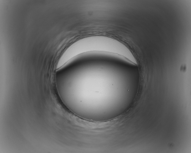 X0000111630035200907311238