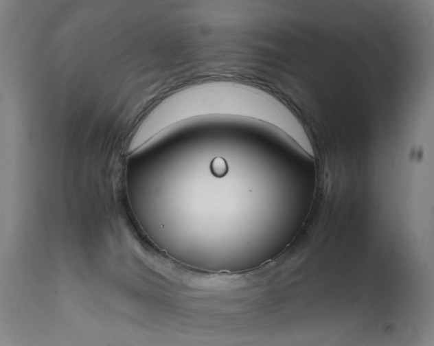 X0000111630036200907311238