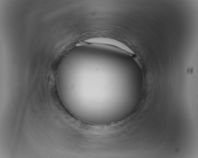 X0000111630037200907311238