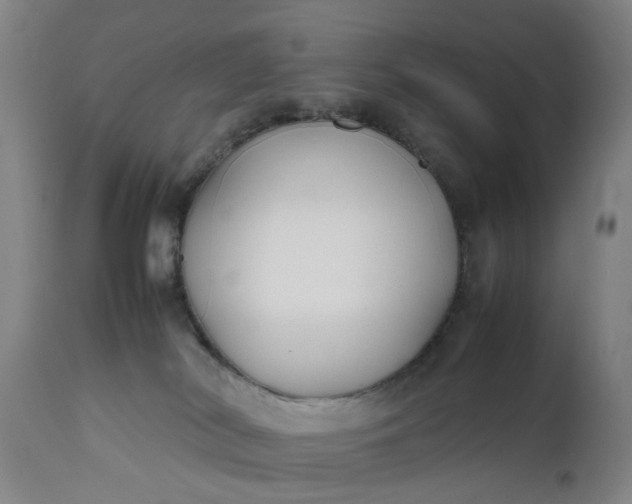 X0000111630038200907311238