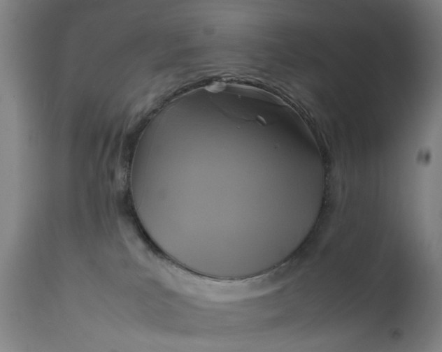 X0000111630039200907311238