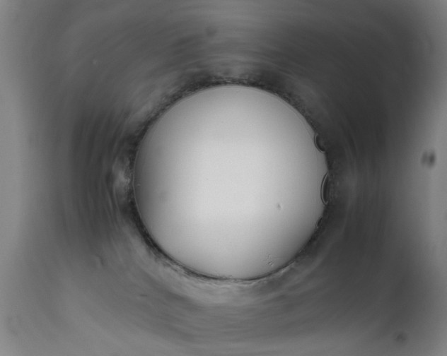 X0000111630040200907311238