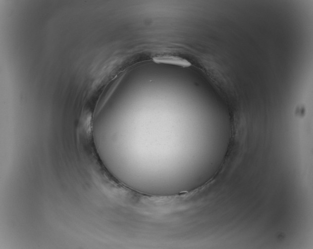 X0000111630041200907311238