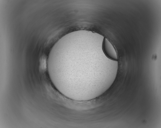 X0000111630042200907311238