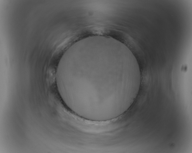 X0000111630043200907311237