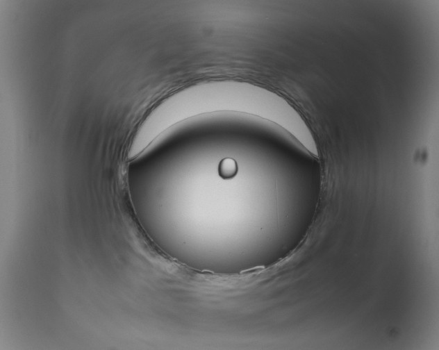 X0000111630045200907311237