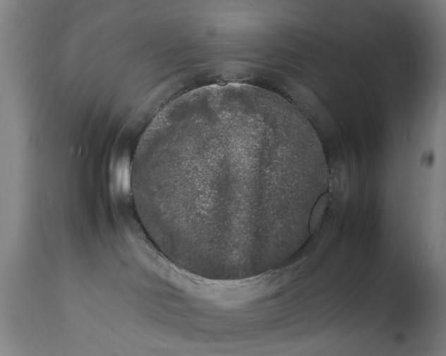 X0000111630046200907311237