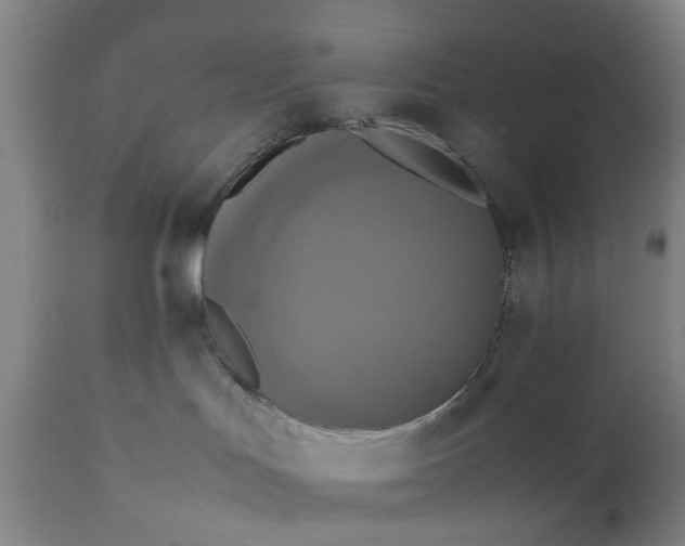 X0000111630047200907311237