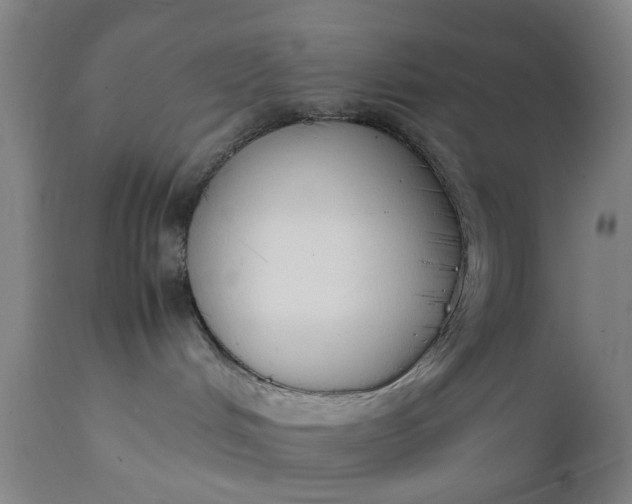 X0000111630048200907311237