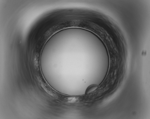 X0000111630050200907311237