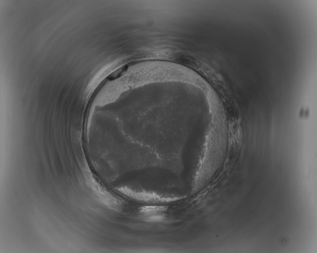 X0000111630051200907311237