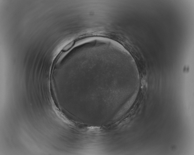 X0000111630052200907311237