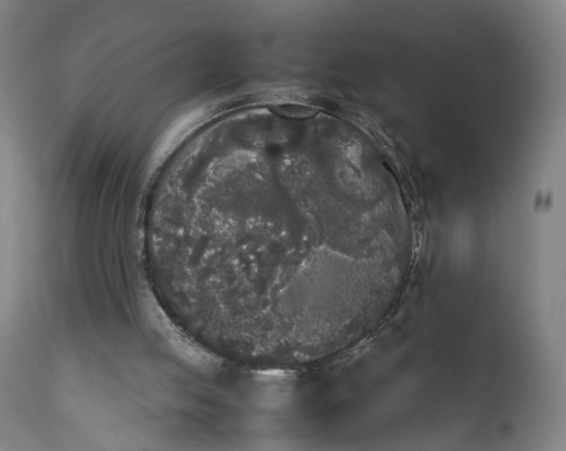 X0000111630053200907311237