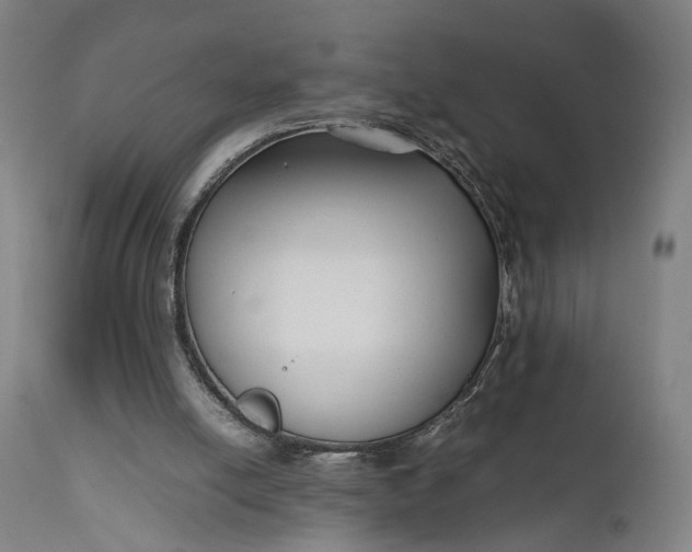 X0000111630054200907311237