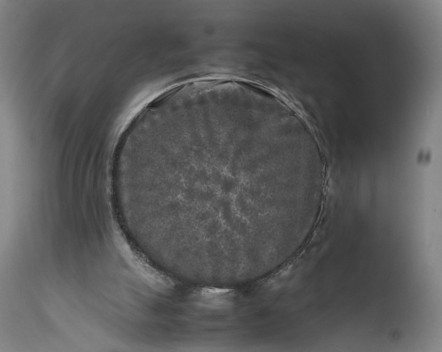 X0000111630055200907311237