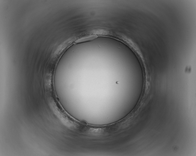 X0000111630057200907311237