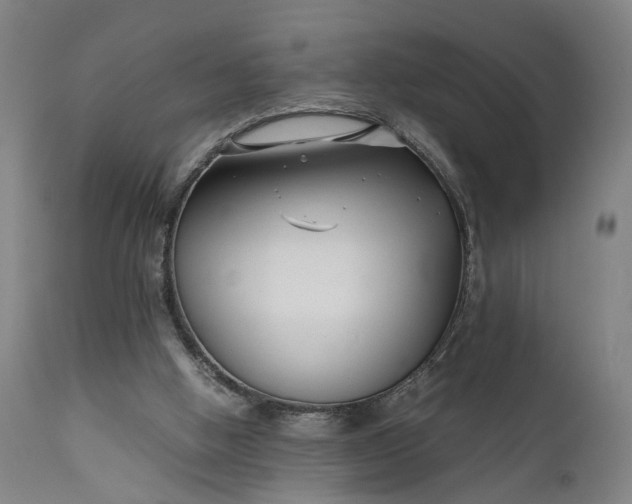 X0000111630058200907311237