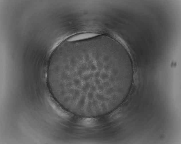 X0000111630059200907311237