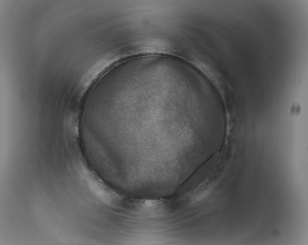 X0000111630060200907311237